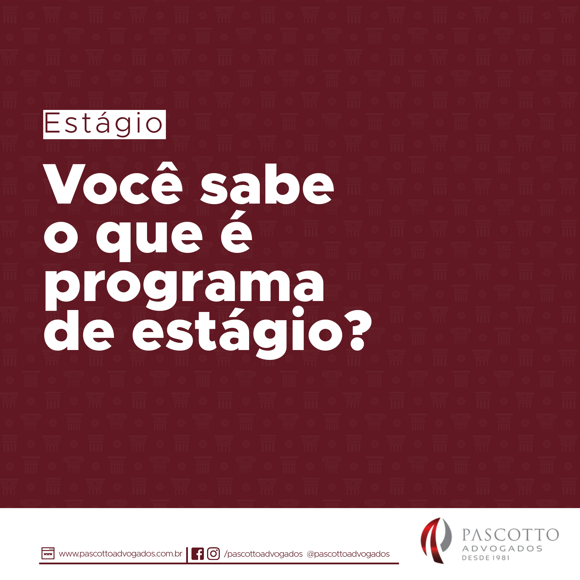 Leia mais sobre o artigo Estágio – você sabe o que é programa de estágio?