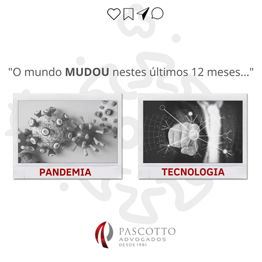 meses de covid