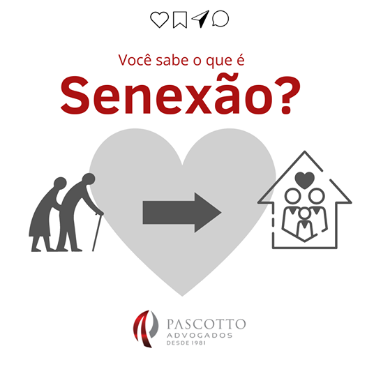 senexão